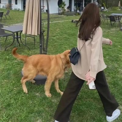 艳秘书